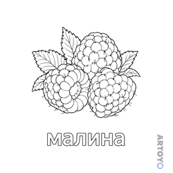 Раскраска Ягода малина, чёрно-белый контур