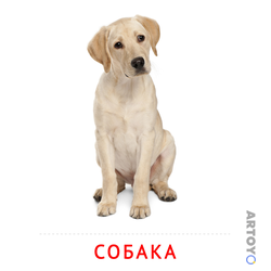 Карточки Домана для детей на тему «Животные: карточка Домана Собака