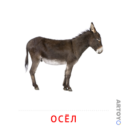 Осёл — карточка Домана для распечатки