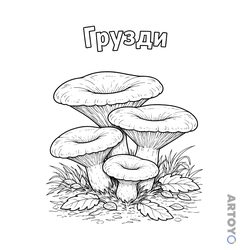Раскраска Грузди — А4